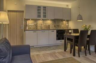 Апартаменты Gdańsk deluxe Apartments Gdansk Гданьск Улучшенные апартаменты-42